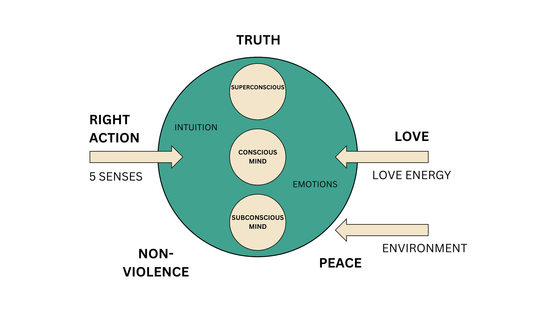 Tattva Educare learning process